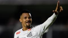 Santos defender Ze Ivaldo